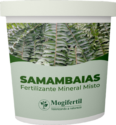 Fertilizante Samambaias — Fertilizantes Minerais Mogifertil